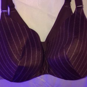 42DDD Cacique Backsmoothing Balconette in gorgeous Brown Pinstripe with Lace